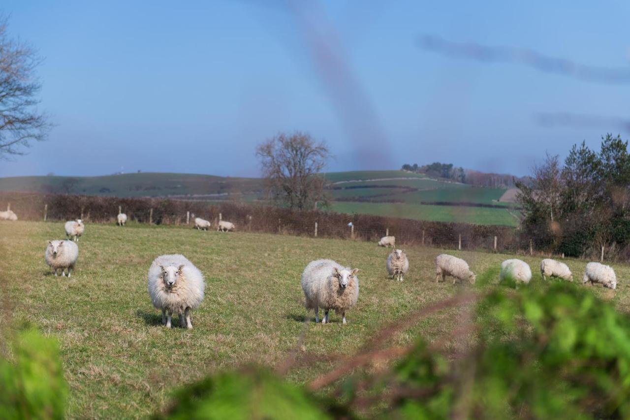 Beautiful Countryside Cottage On The North Wales Coast Abergele Exteriör bild