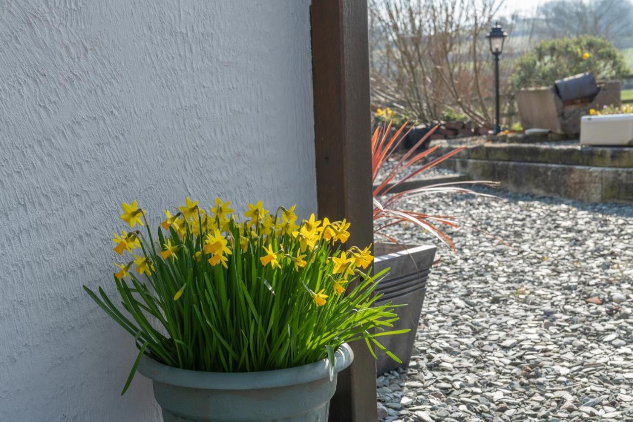 Beautiful Countryside Cottage On The North Wales Coast Abergele Exteriör bild